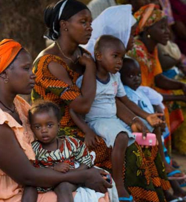 Demographic and Socio-Economic Profiles of Sahel and West African Countries