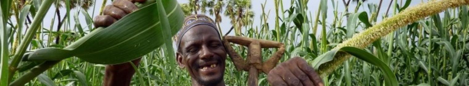 Suivi des cultures