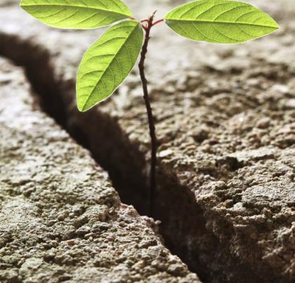 Resilience