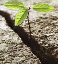 Monitoring the dynamics of land use